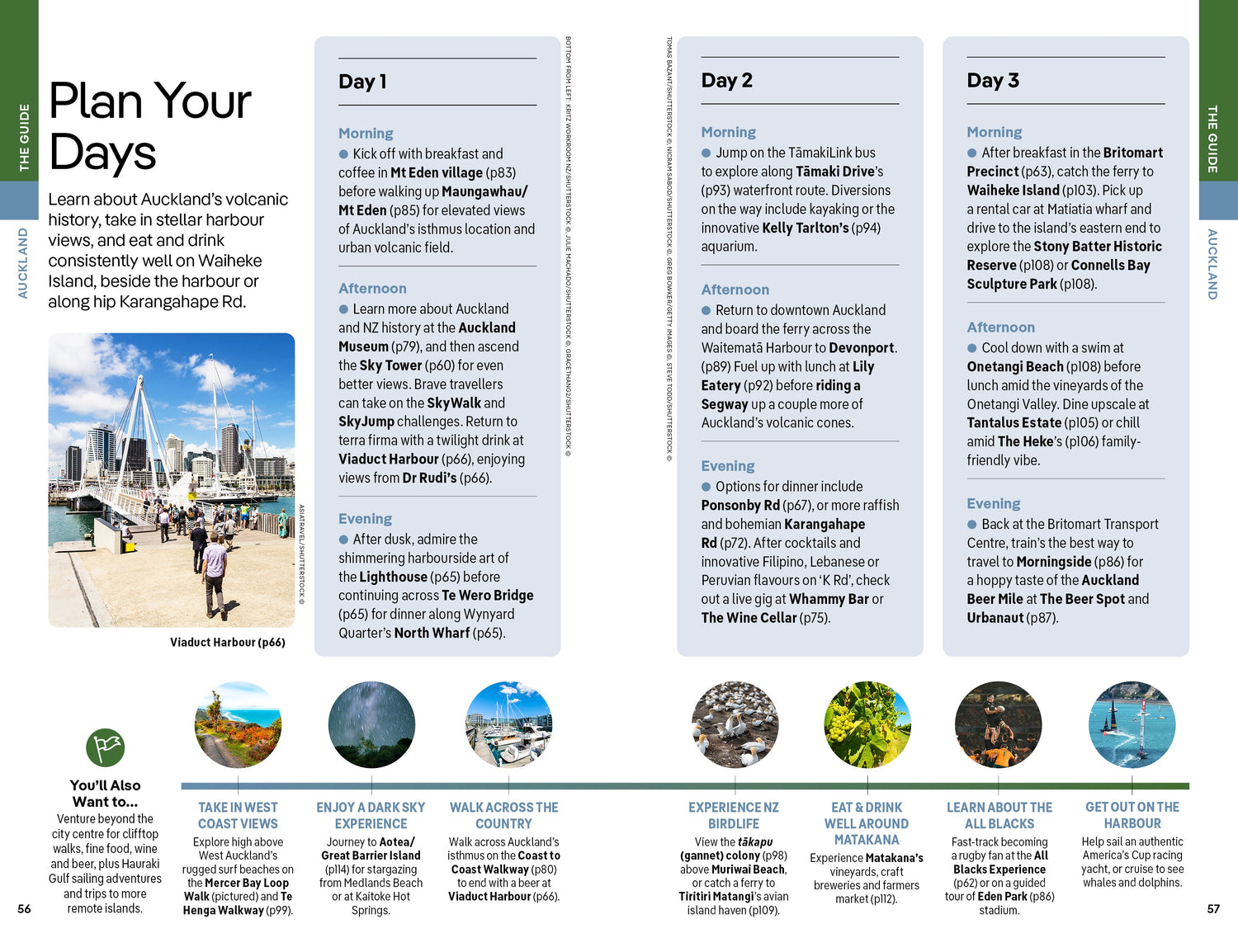 New Zealand preview